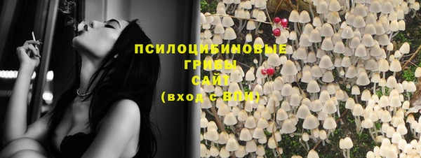 индика Тутаев