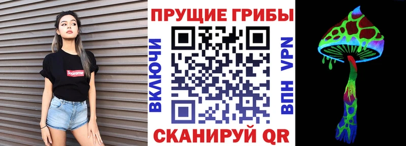 Галлюциногенные грибы Psilocybe  Черноголовка 